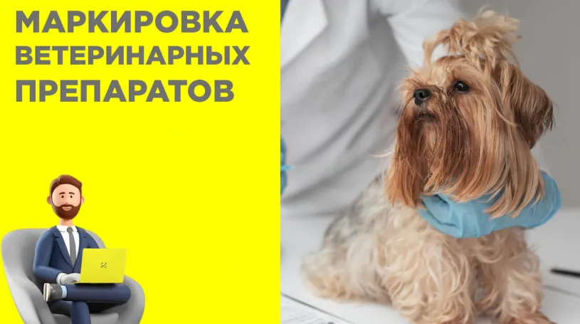29 июня 2026 г. в 11:00 запланировано проведение обучающего семинара по маркировке ветеринарных препаратов и кормов для животных